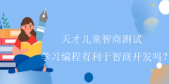 天才儿童智商测试-学习编程有利于智商开发吗？