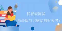 低智商测试-智商高低与大脑结构有关吗？